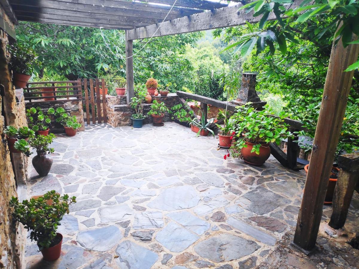 Casa em Xisto na Serra da Lousã, Gondramaz Exterior foto
