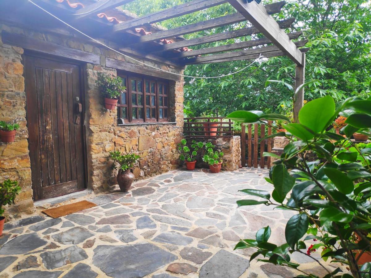 Casa em Xisto na Serra da Lousã, Gondramaz Exterior foto
