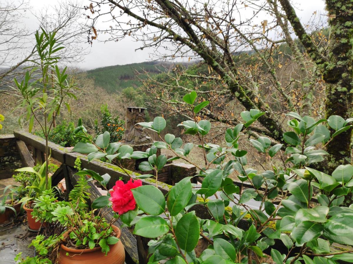 Casa em Xisto na Serra da Lousã, Gondramaz Exterior foto